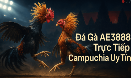Đá Gà AE3888 | Trực Tiếp Campuchia Uy Tín