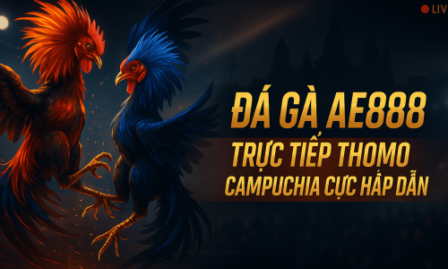 Đá Gà AE888 | Trực Tiếp Thomo Campuchia Cực Hấp Dẫn